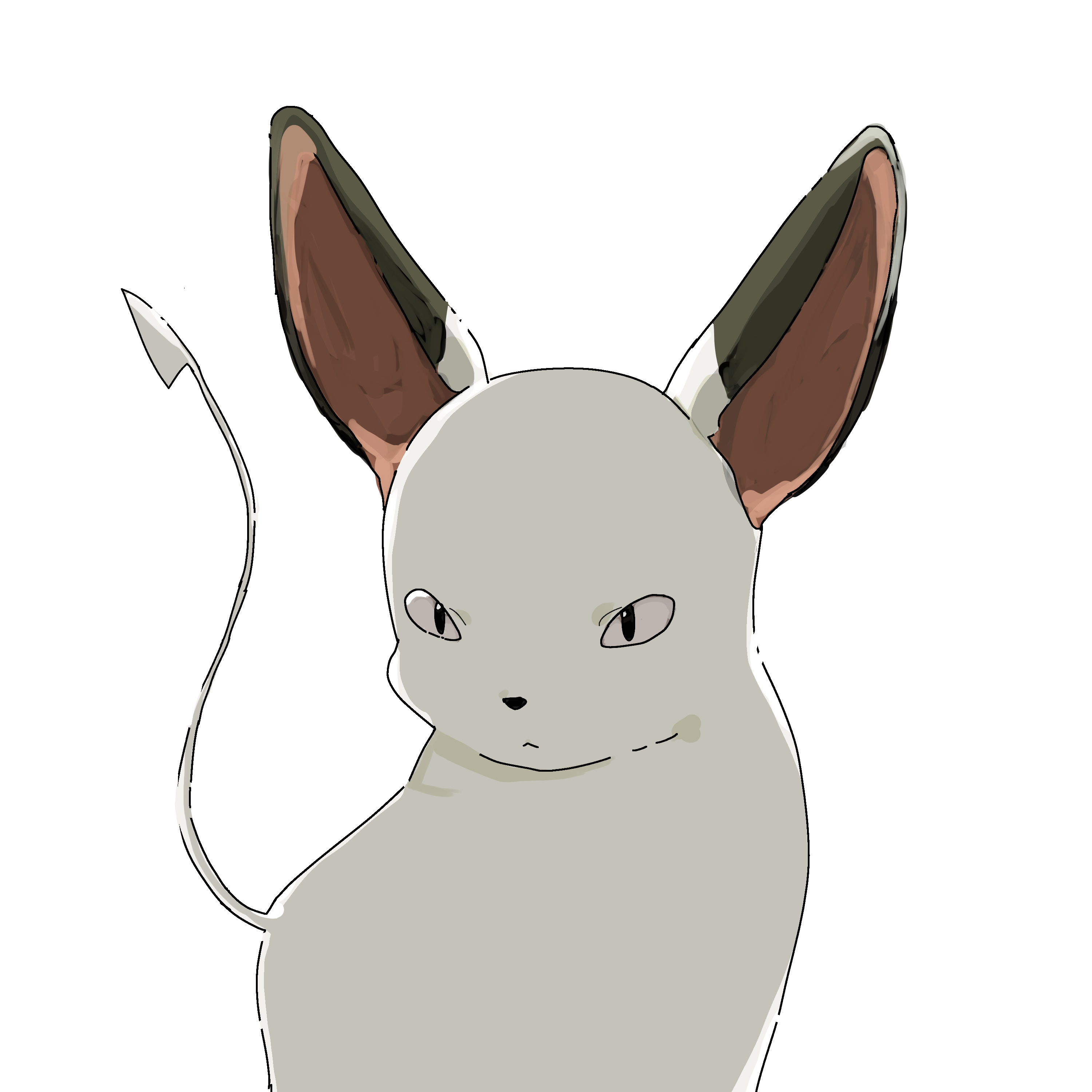 画像04